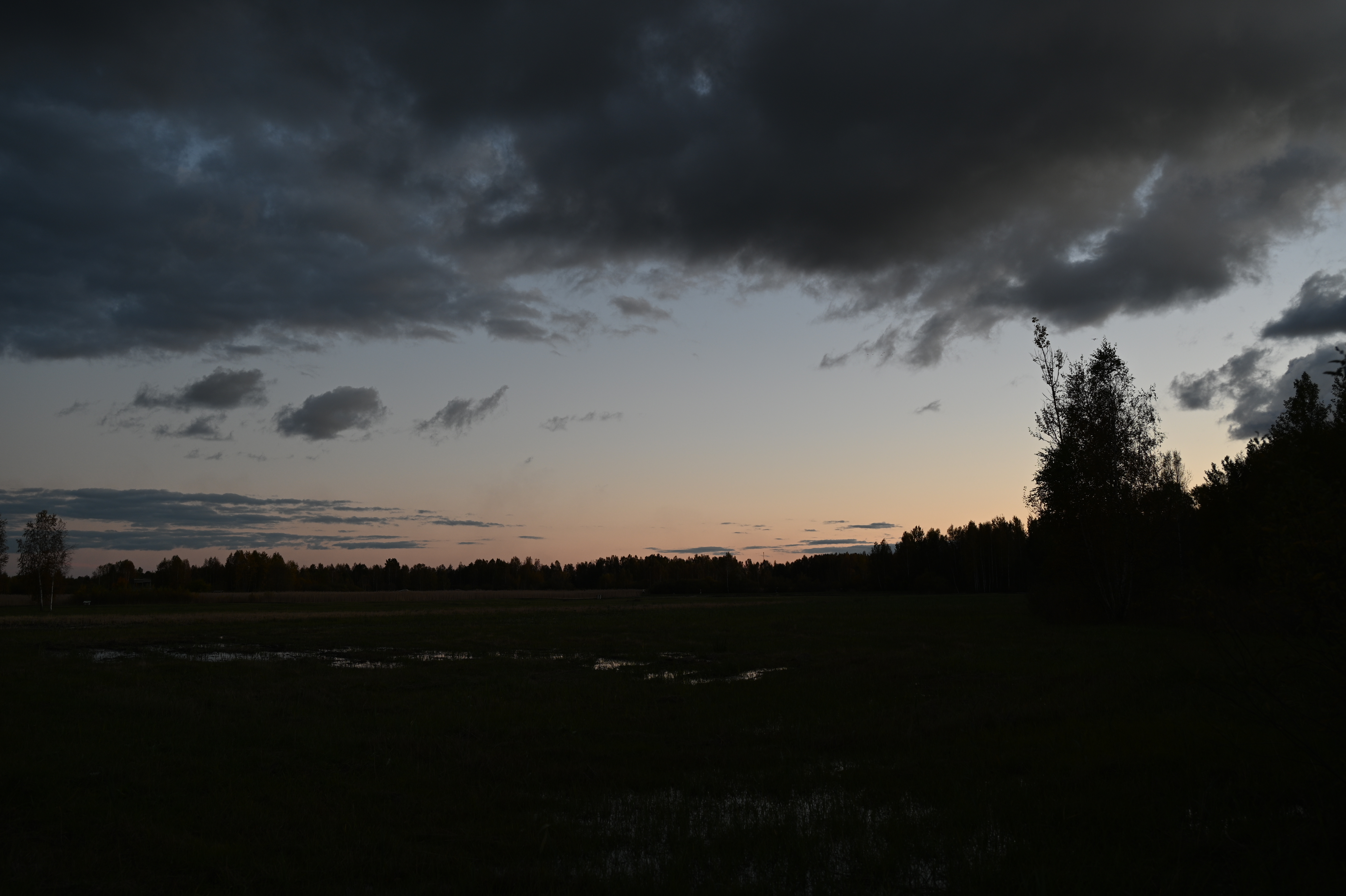 2025/10/18 - walk/DSC_0547.JPG